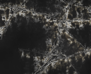 ICE BLACK